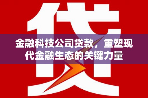 天宁金融科技公司贷款，重塑现代金融生态的关键力量