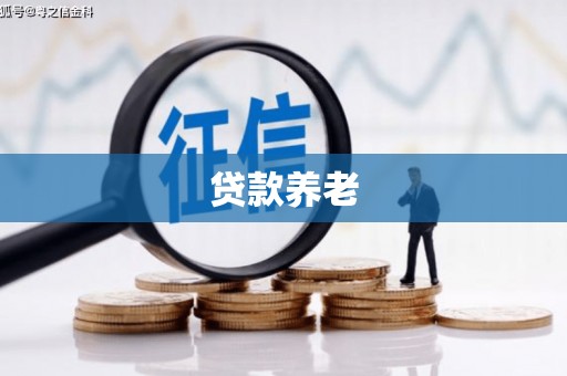 天宁贷款养老