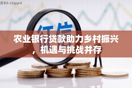 天宁农业银行贷款助力乡村振兴，机遇与挑战并存