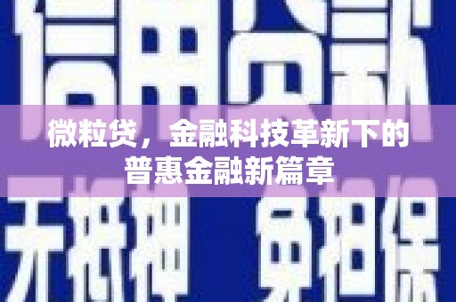 天宁微粒贷，金融科技革新下的普惠金融新篇章