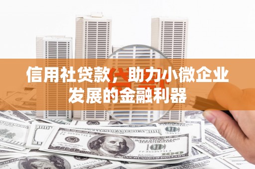 天宁信用社贷款，助力小微企业发展的金融利器
