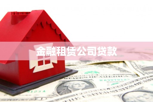 天宁金融租赁公司贷款