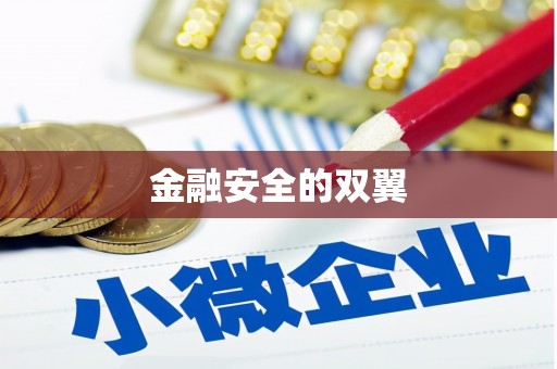 天宁金融安全的双翼