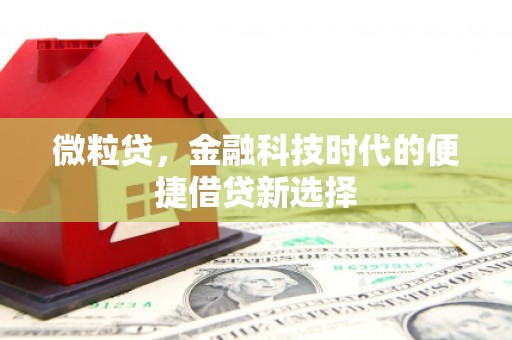 天宁微粒贷，金融科技时代的便捷借贷新选择