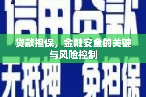 天宁贷款担保，金融安全的关键与风险控制