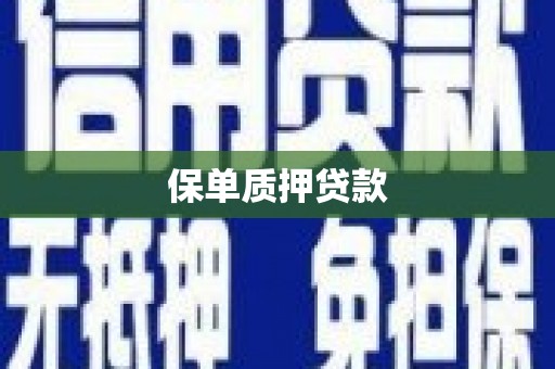 天宁保单质押贷款