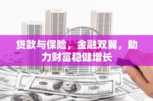 天宁贷款与保险，金融双翼，助力财富稳健增长