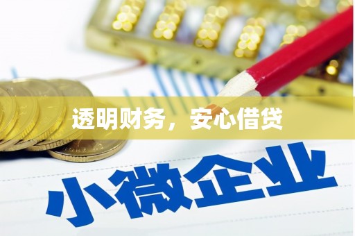 天宁透明财务，安心借贷