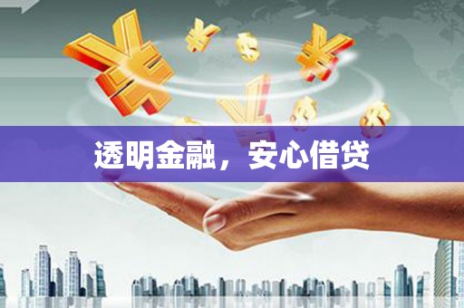 天宁透明金融，安心借贷
