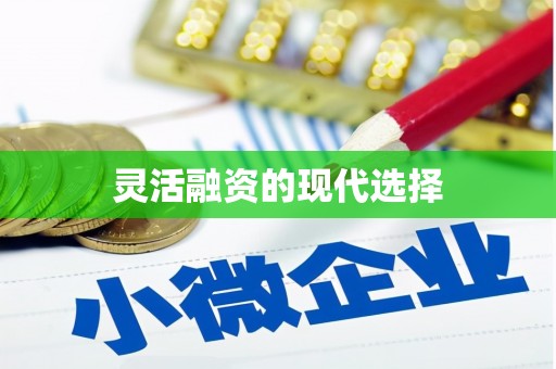 天宁灵活融资的现代选择