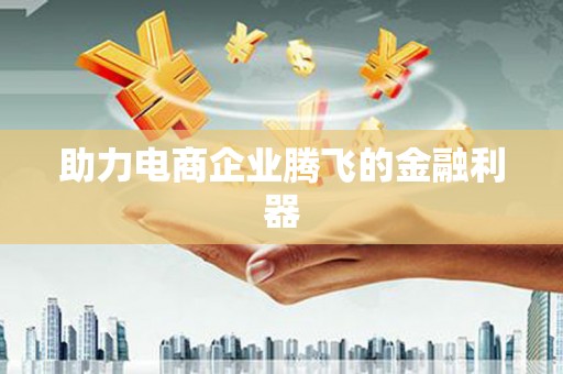 天宁助力电商企业腾飞的金融利器