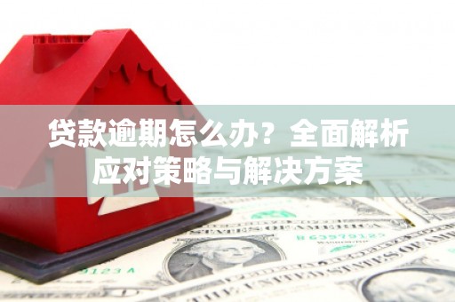天宁贷款逾期怎么办？全面解析应对策略与解决方案