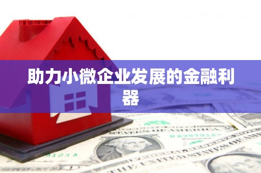 天宁助力小微企业发展的金融利器