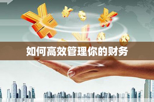 天宁如何高效管理你的财务
