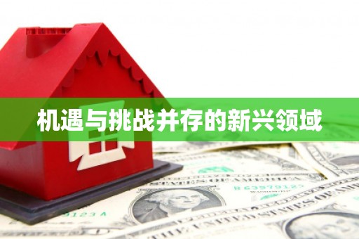 天宁机遇与挑战并存的新兴领域