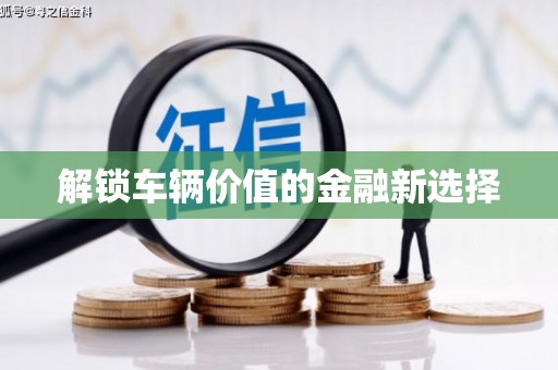 天宁解锁车辆价值的金融新选择