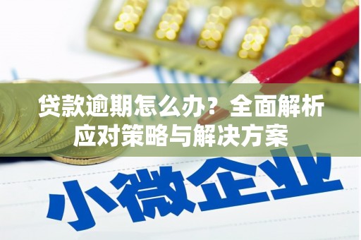 天宁贷款逾期怎么办？全面解析应对策略与解决方案