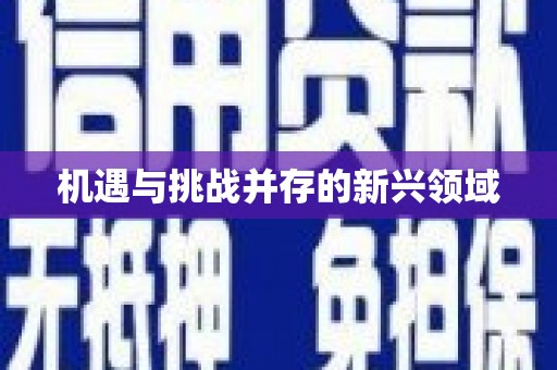 天宁机遇与挑战并存的新兴领域