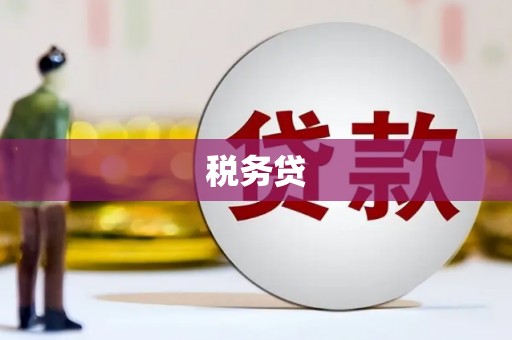 天宁税务贷