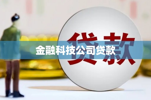 天宁金融科技公司贷款