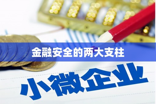天宁金融安全的两大支柱