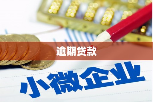 天宁逾期贷款