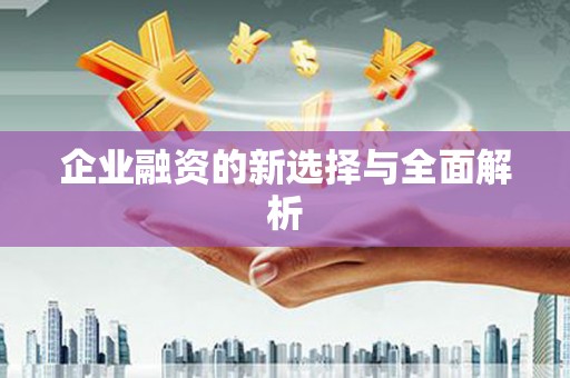 天宁企业融资的新选择与全面解析