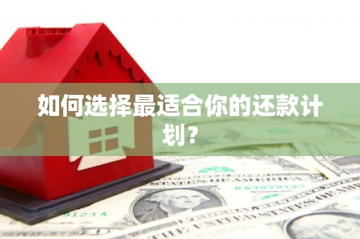 天宁如何选择最适合你的还款计划？