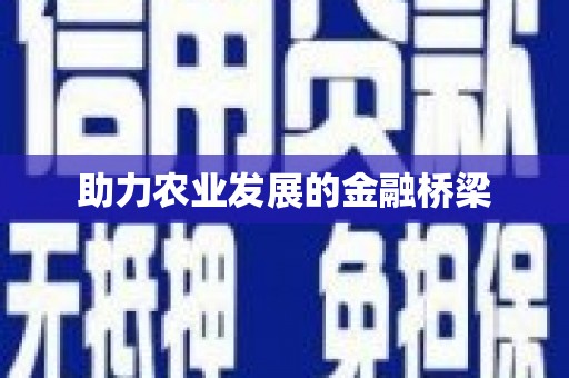 天宁助力农业发展的金融桥梁