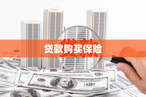 天宁贷款购买保险
