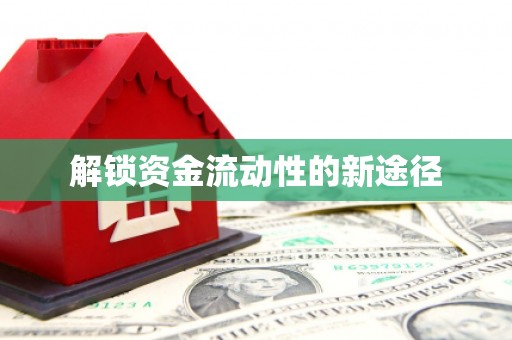 天宁解锁资金流动性的新途径