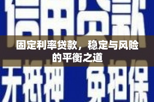 天宁固定利率贷款，稳定与风险的平衡之道