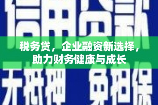 天宁税务贷，企业融资新选择，助力财务健康与成长