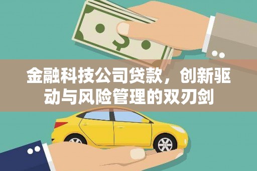 天宁金融科技公司贷款，创新驱动与风险管理的双刃剑